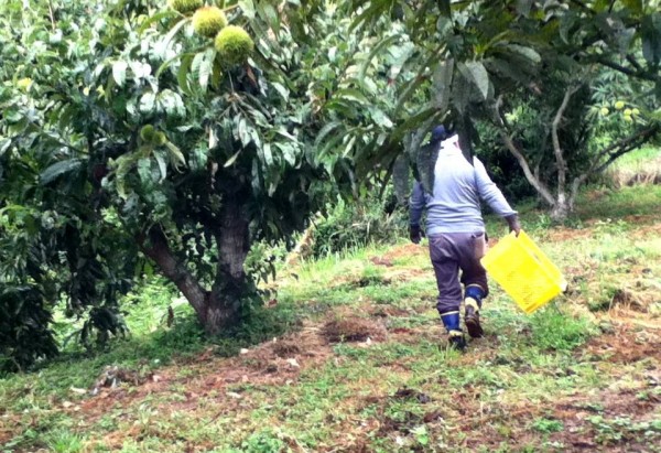 人吉球磨のうまかもんツアー