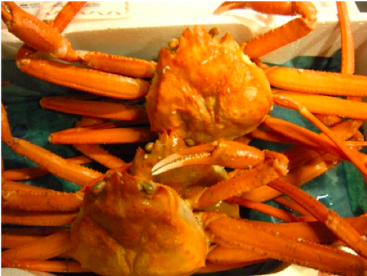 兵庫県香美町 ふるさと納税