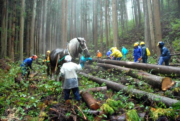 馬搬　馬方さん